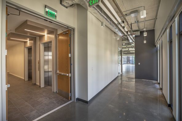 Domain Place: 3200 Gracie Kiltz Ln, Austin, TX 78758